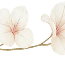 :flower_emoji_2: