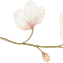 flower_emoji_1
