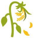 wilted_wheat