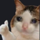 thikhai custom emote - Gaming Grid