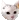 anqy_cat