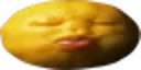 SpeedLemon