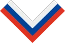 :Volunteer_Army_Insignia: