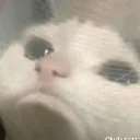 emoji_25 emoji_25