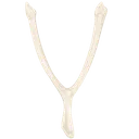 wishbone