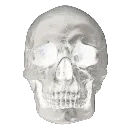 6_skull 6_skull