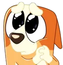 BingoPlease
