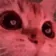 CatMeme1811