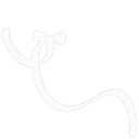 white_006