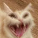 a_screeee