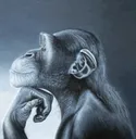 ragebaitmonkey ragebaitmonkey