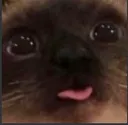 blem