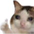 MR_CatThumbUpSad