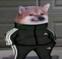MR_SlavDog
