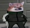 :MR_SlavDog: