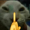 shdd shdd