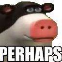 MR_Perhaps