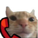 MR_CatCall