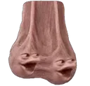 pognuts