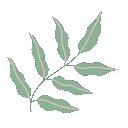 leafsss