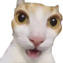 cat Discord Emoji - ⊱Oc community⊰