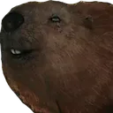HappyBeaver