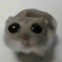 emoji_2 Discord sticker - #~ 𝐄𝐦𝐩𝐢𝐫𝐞 𝐖𝐞𝐬𝐭 𝟏𝟖𝟕