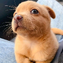 antony Discord Emoji - Jogando mundo a fora