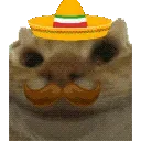 sisi