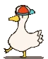 Duck_Dance