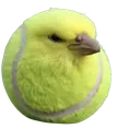 TennisBird