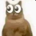 __