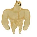 chaddoge