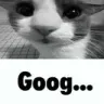 Goog