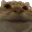 yes