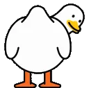duckbutt