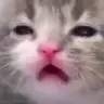 911412546525876265