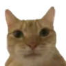 911413065797476362