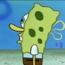 sponge sponge