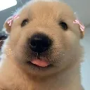 potatomlem