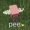 pee