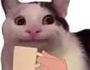 COFFEEE Discord emoji