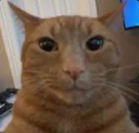 Guh Discord emoji