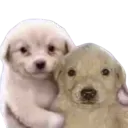 :huggies: