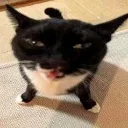 1420574244659789834