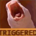 triggeredgoose