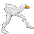 legs_duck