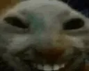 xdd