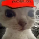 cattiot