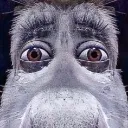 mais